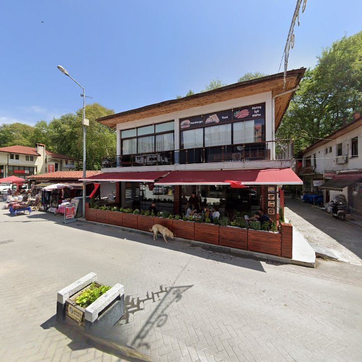 Fotoğraf 8
