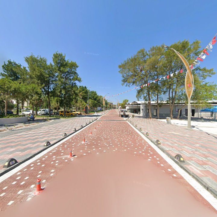 Fotoğraf 8