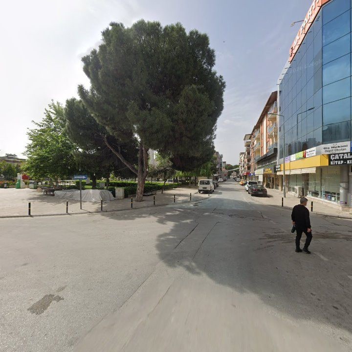 Fotoğraf 7