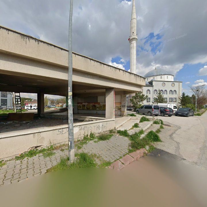 Fotoğraf 2