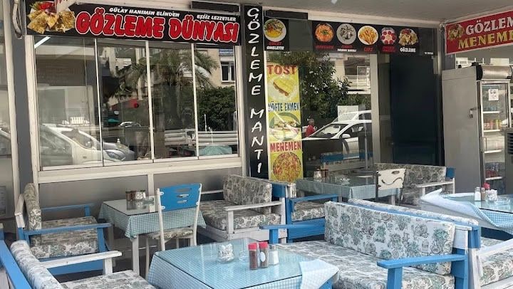 GÖZLEME DÜNYASI