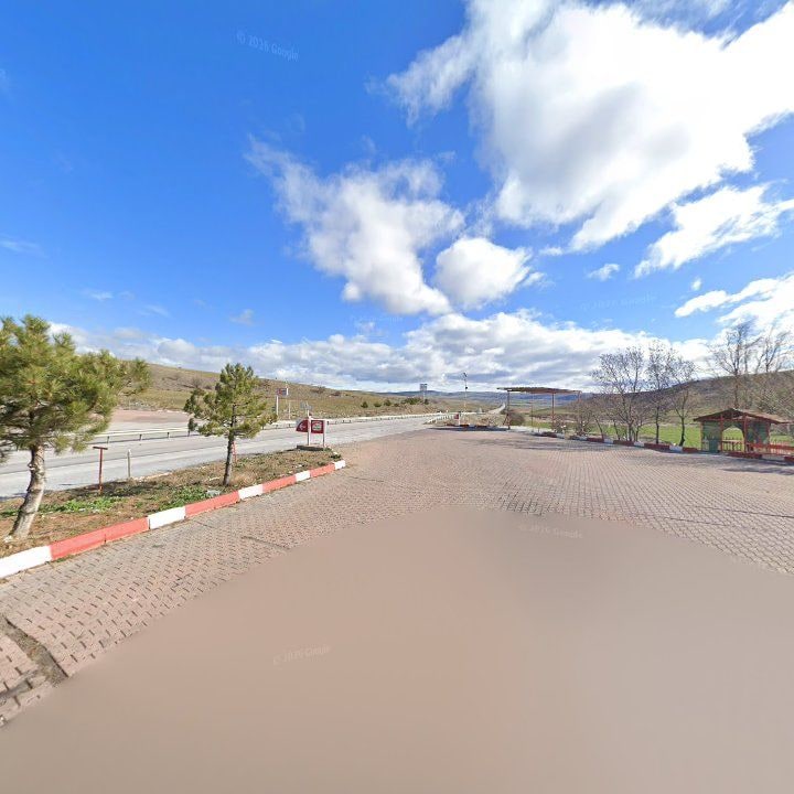 Fotoğraf 10