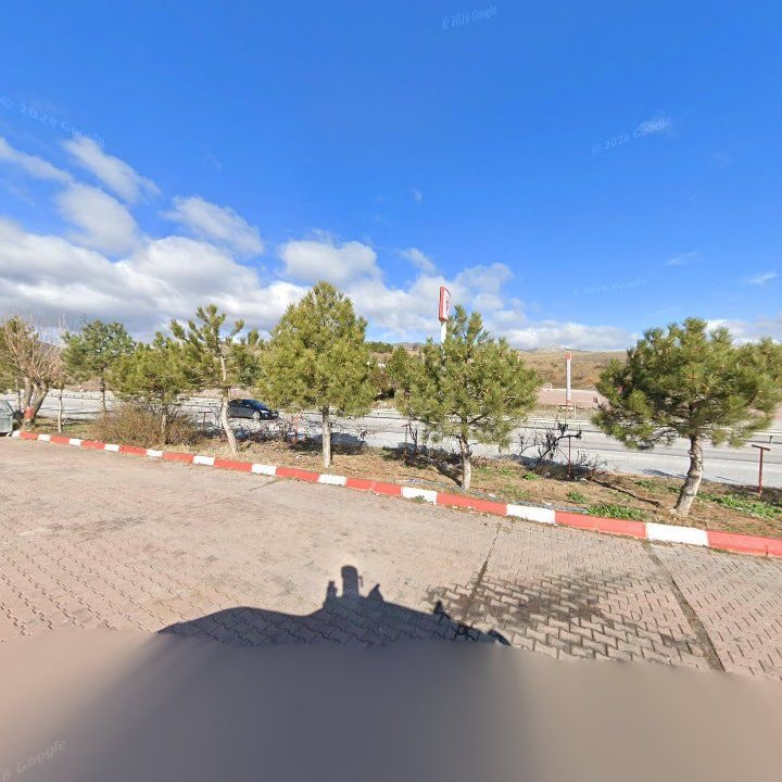 Fotoğraf 9