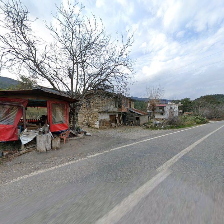 Fotoğraf 9