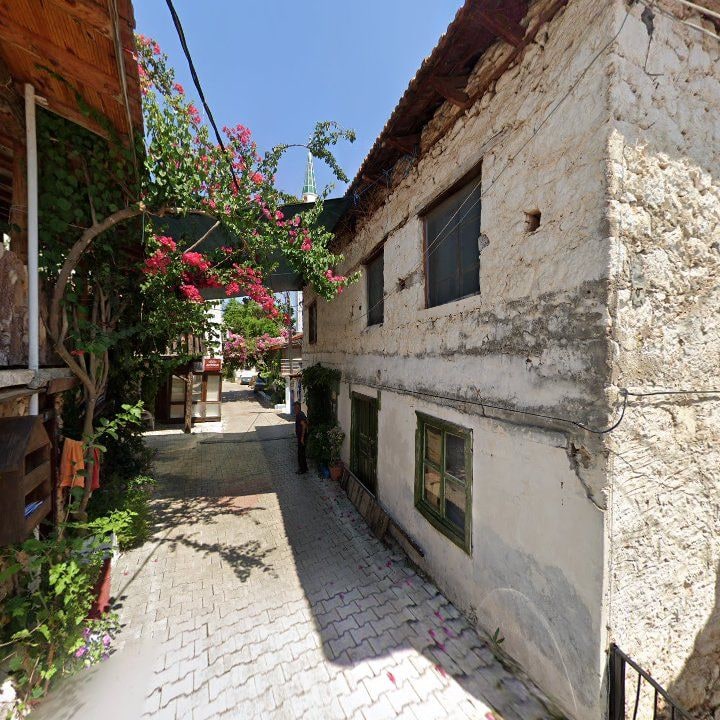 Fotoğraf 6