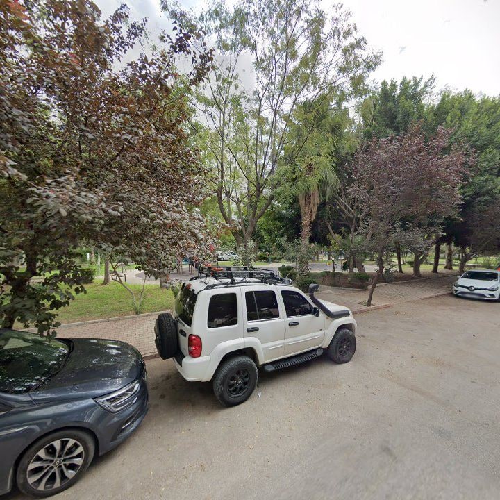 Fotoğraf 8
