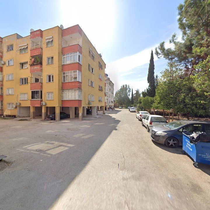 Fotoğraf 3