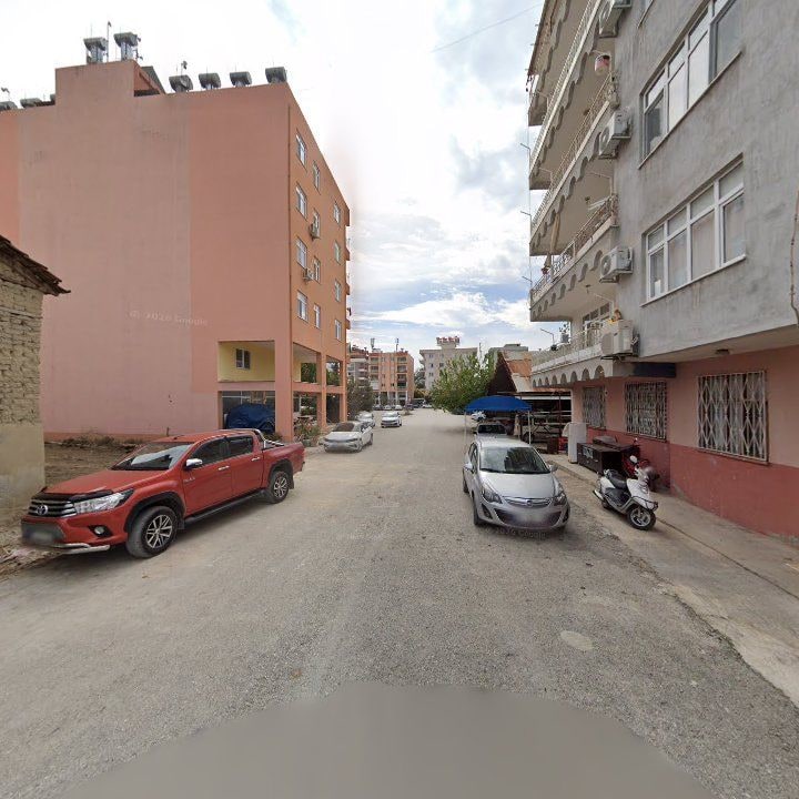 Fotoğraf 12