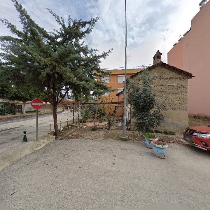 Fotoğraf 11