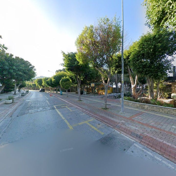 Fotoğraf 16
