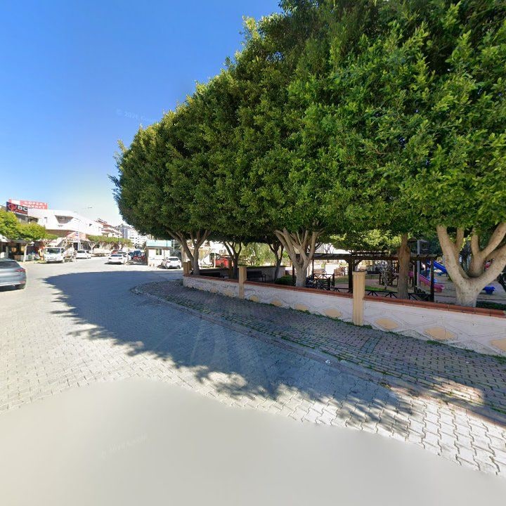 Fotoğraf 9