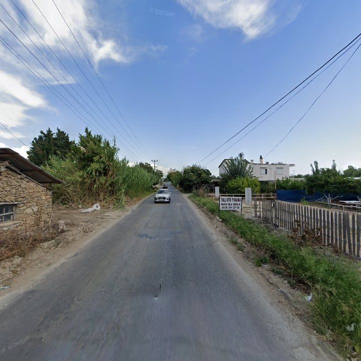 Fotoğraf 10