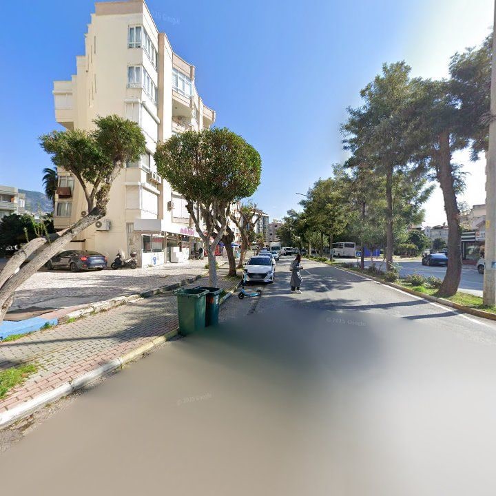 Fotoğraf 9