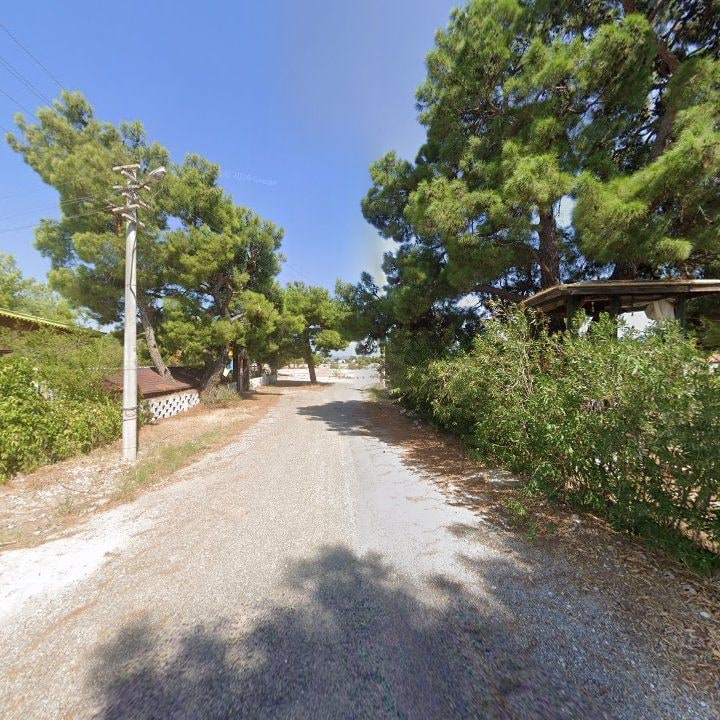 Fotoğraf 11