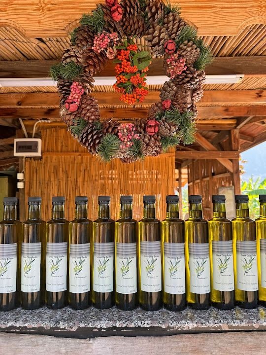 Green Olive Garden & Çakırlar