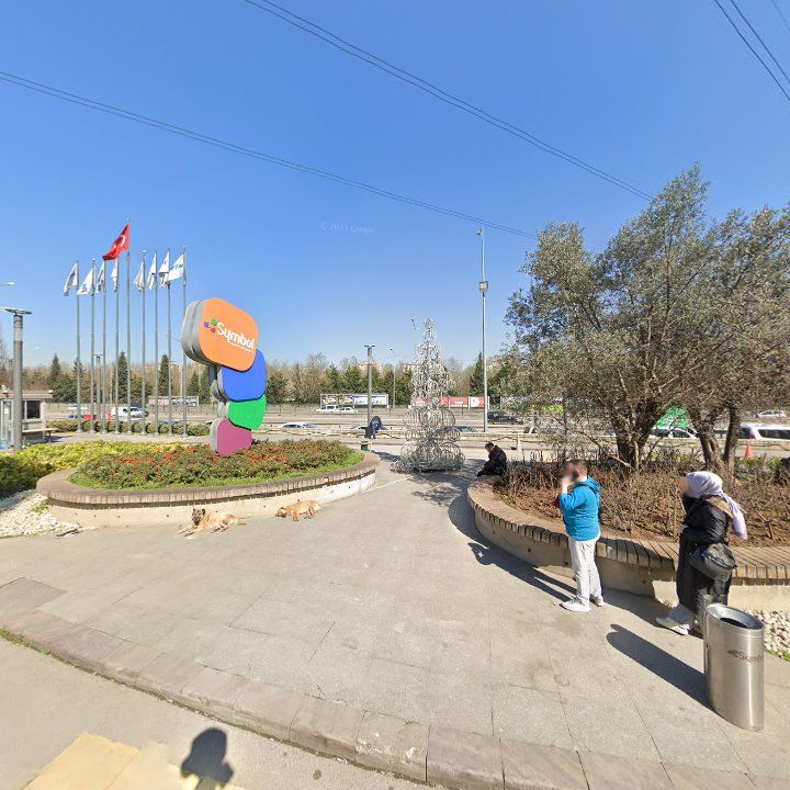 Fotoğraf 9