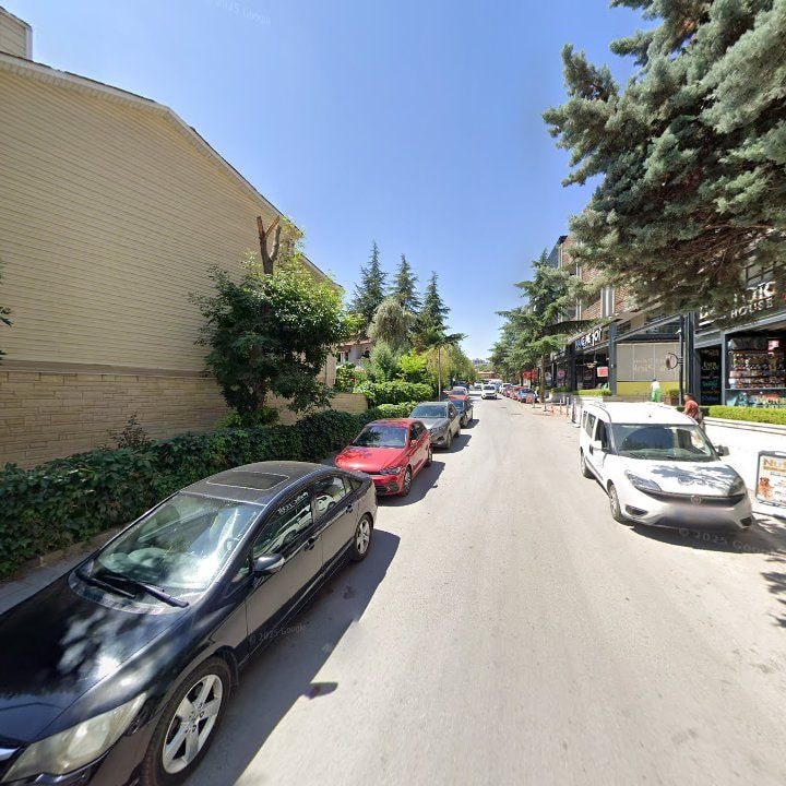 Fotoğraf 11
