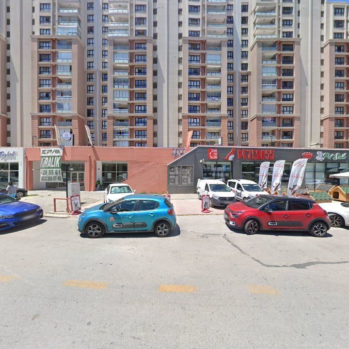 Fotoğraf 7