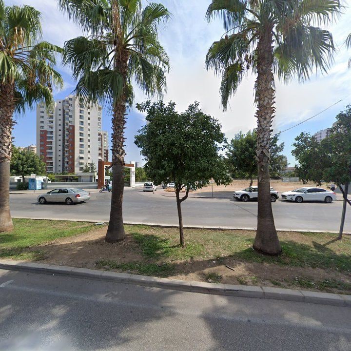 Fotoğraf 7