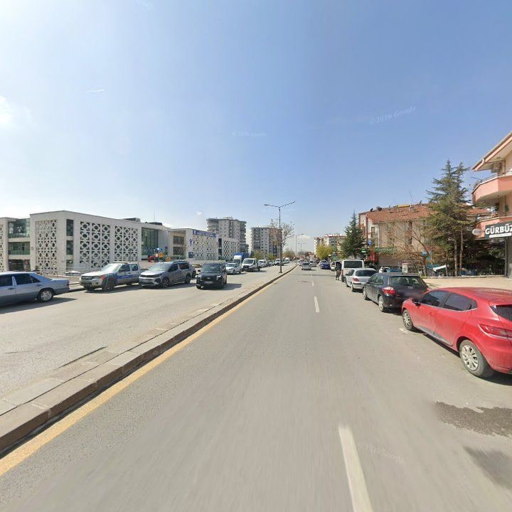 Fotoğraf 12