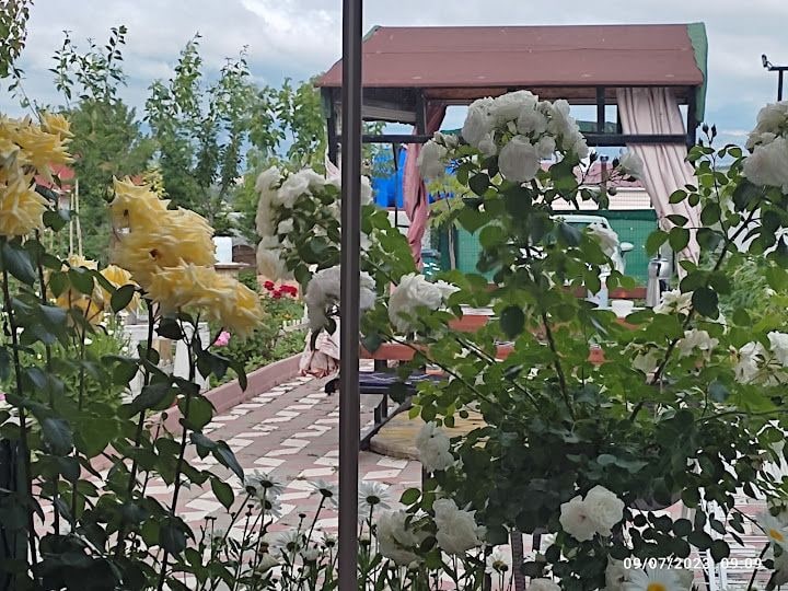 Gül Bahçem Hobi Bahçeleri