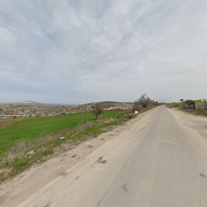 Fotoğraf 7