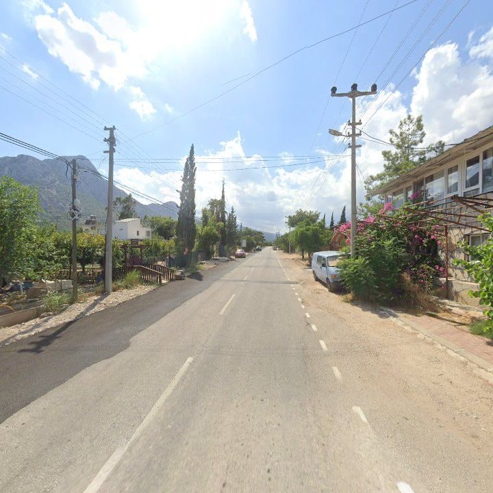 Fotoğraf 6