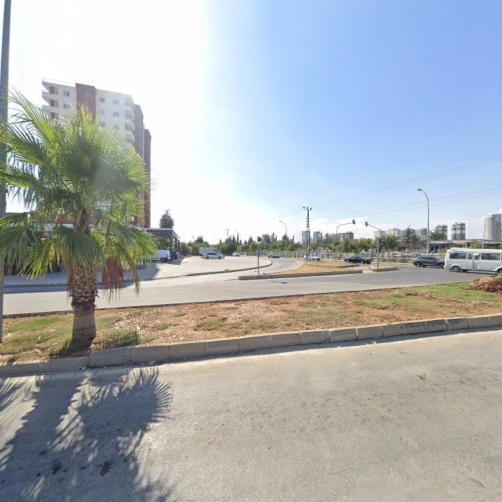 Fotoğraf 7