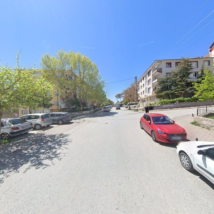 Fotoğraf 6