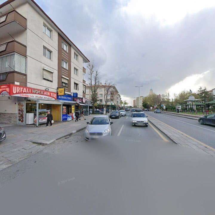 Fotoğraf 9