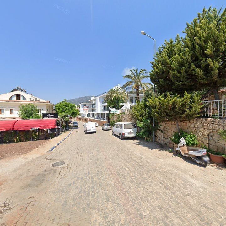 Fotoğraf 10