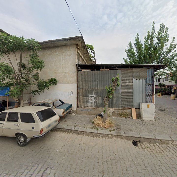 Fotoğraf 7