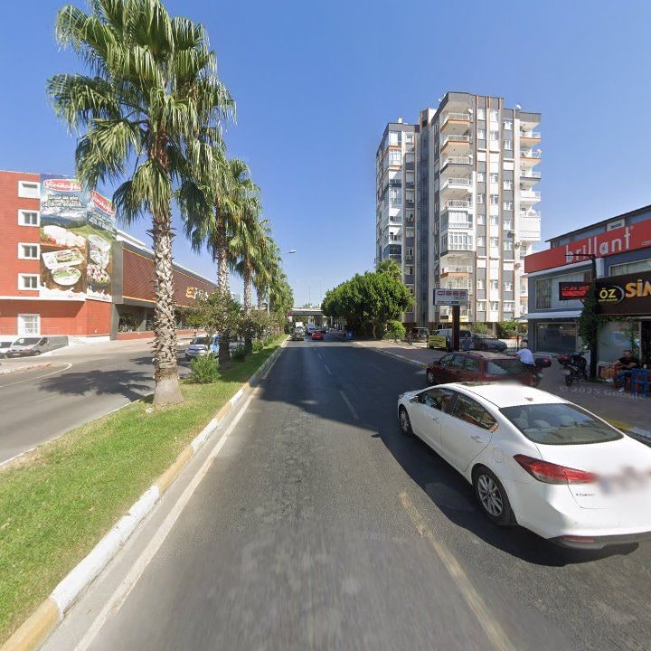 Fotoğraf 8