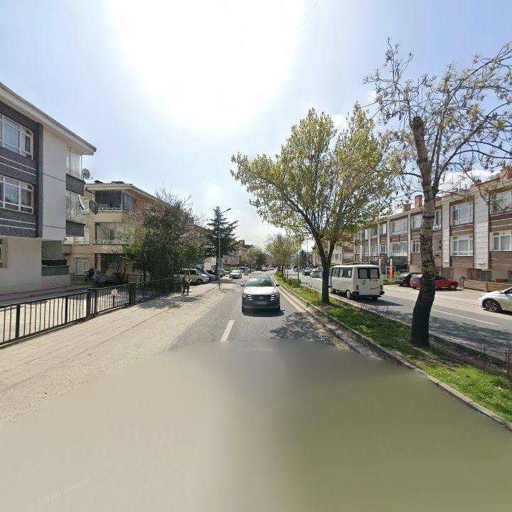 Fotoğraf 12