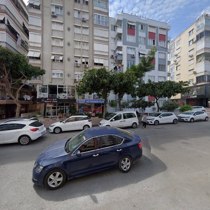 Fotoğraf 9