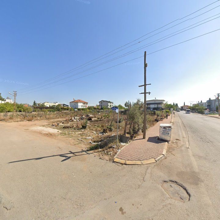 Fotoğraf 6