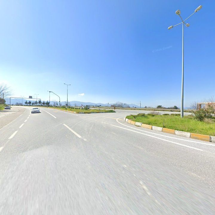 Fotoğraf 11