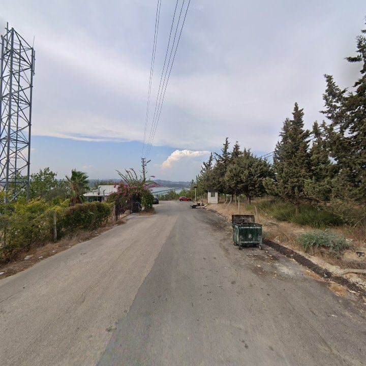 Fotoğraf 9