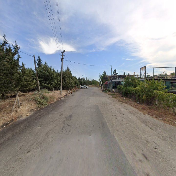Fotoğraf 11