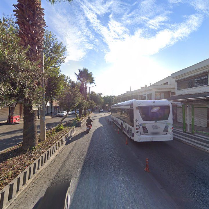 Fotoğraf 16