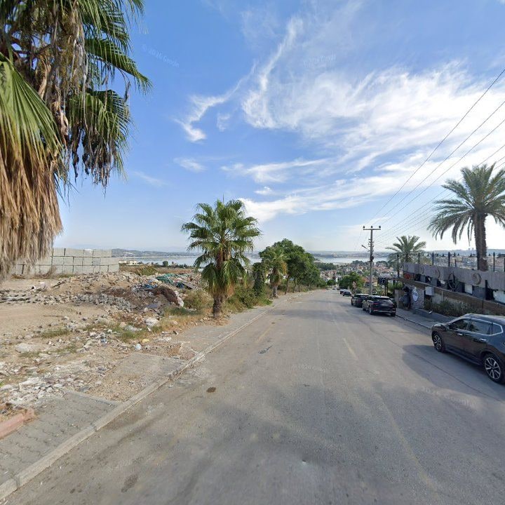Fotoğraf 8