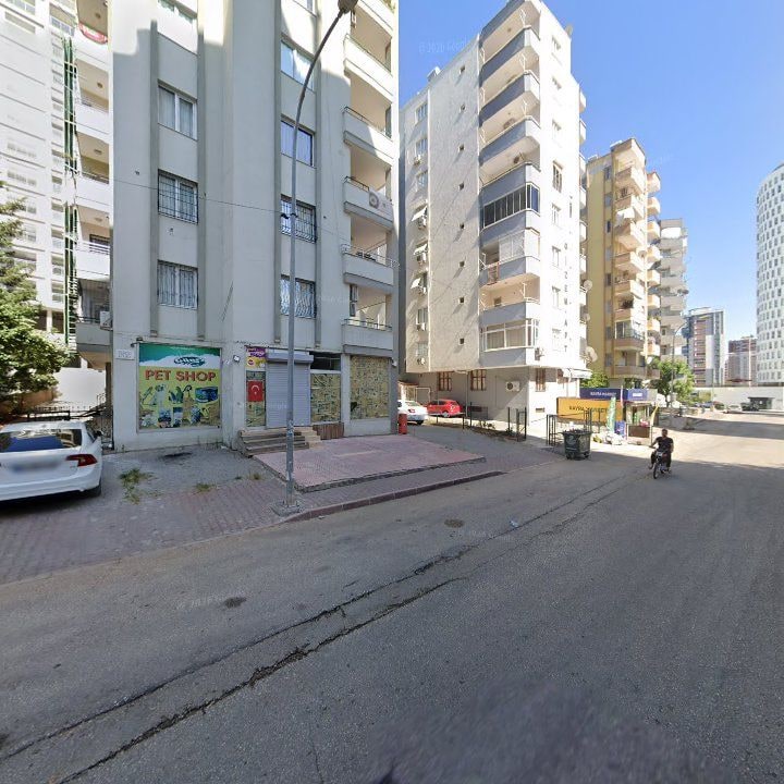Fotoğraf 8