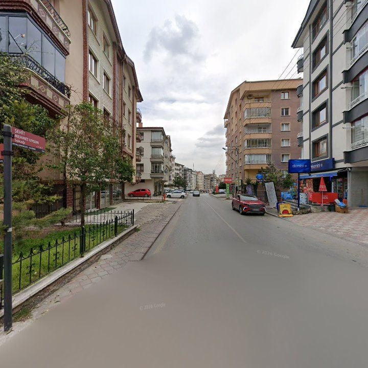 Fotoğraf 8