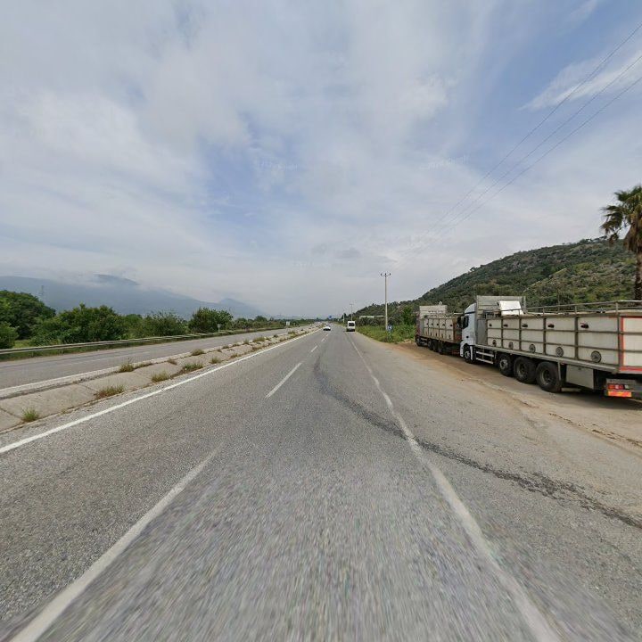 Fotoğraf 7
