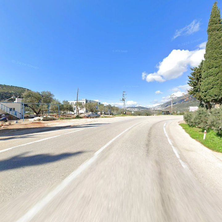 Fotoğraf 11