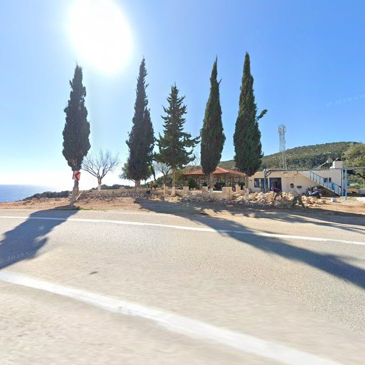 Fotoğraf 10