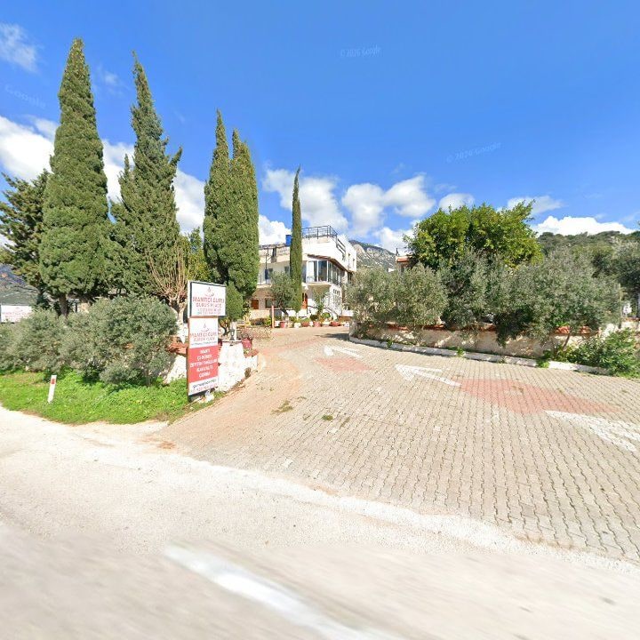Fotoğraf 12