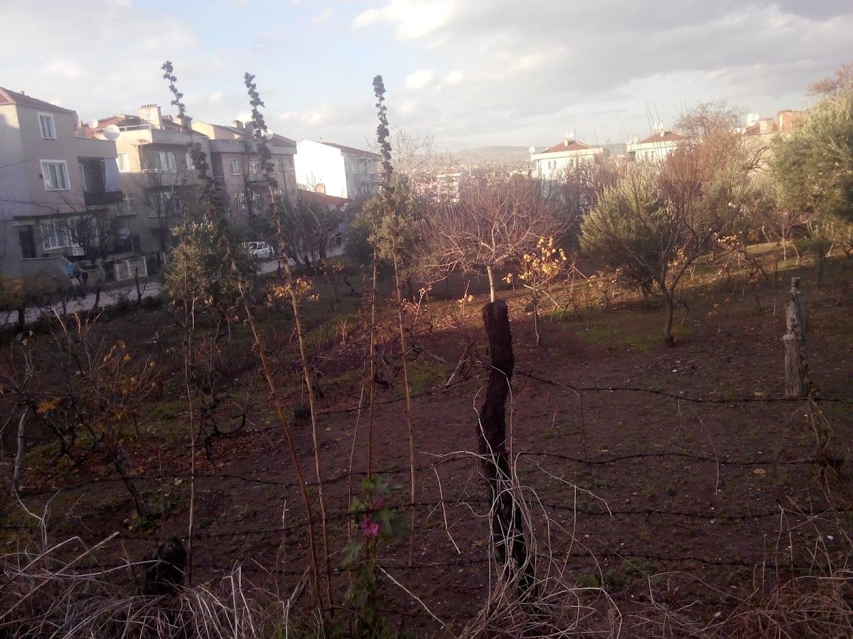Günaydın Kraathanesi