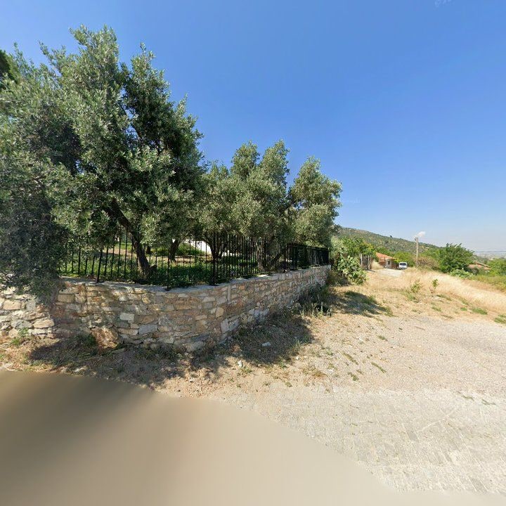 Fotoğraf 11