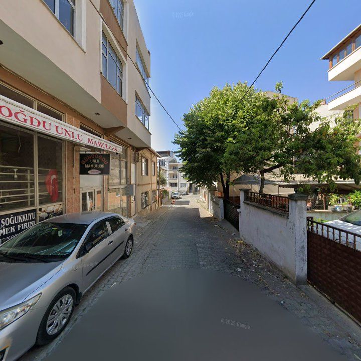 Fotoğraf 3